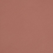 Напольная плитка Casalgrande Padana Unicolore Technic Levigato Rosa Antico 8